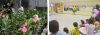 Orquidário e Lutas em Foco 13 setembro 2014